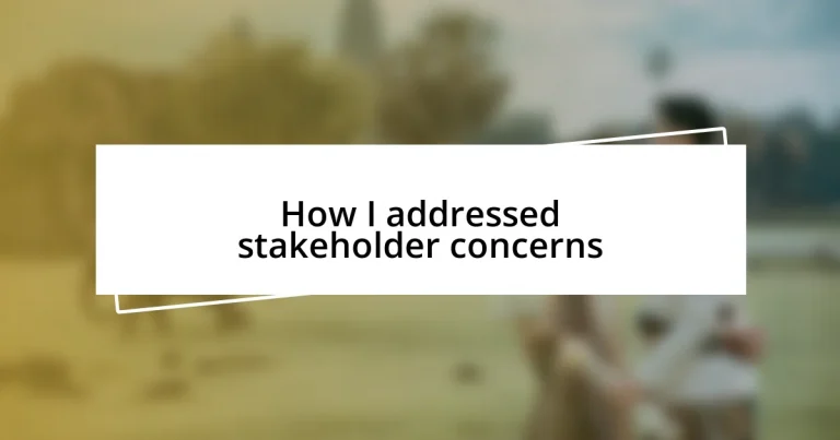 How I addressed stakeholder concerns