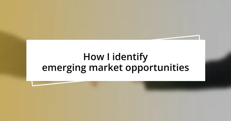 How I identify emerging market opportunities