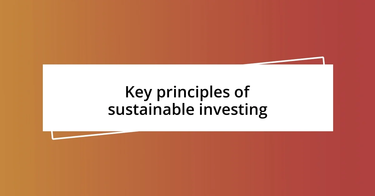 Key principles of sustainable investing