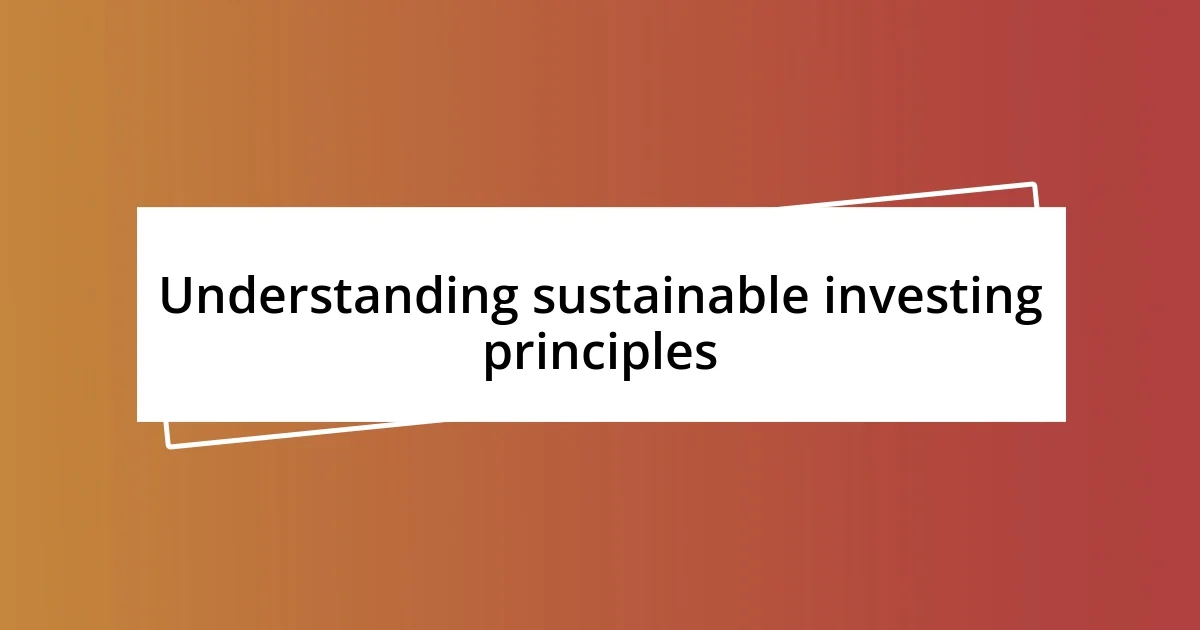 Understanding sustainable investing principles