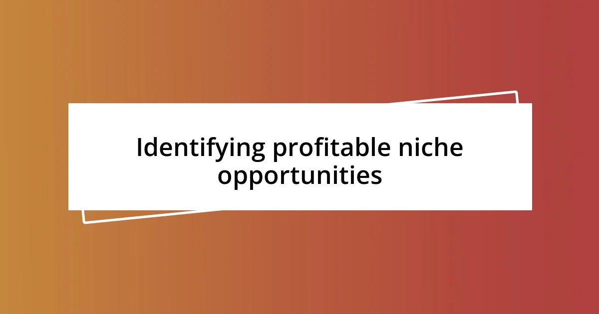 Identifying profitable niche opportunities